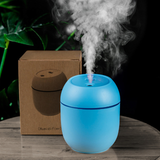 250ml Mini Car Air Humidifier Usb Portable Essential Oil Diffuserand Aroma Anion Mist Maker LED Smart Air Humidifier For Home