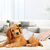 2-In-1 Pet Dog Dryer Quiet Dog Hair Dryers and Comb Brush Grooming Kitten Cat Hair Comb Puppy Fur Blower Low Noise Temprature
