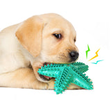 Pet Toys Bite-Resistant Vocal Chew Teeth Cleaning Large Dog Golden Retriever Sound Toy
