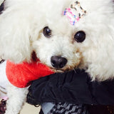 10Pcs Pet Hairpin Puppy Mini Dog Bone Hair Clips Pet Hair Grooming Clips Dog Hair Accessories Random color