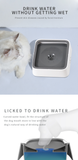 Dog Drinking Water Bowl 2L Floating Non-Wetting Mouth Cat Bowl Without Spill Drinking Water Dispenser ABS Plastic Dog Bowl