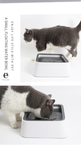 Dog Drinking Water Bowl 2L Floating Non-Wetting Mouth Cat Bowl Without Spill Drinking Water Dispenser ABS Plastic Dog Bowl