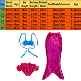 Fancy Cosplay Costume 3pcs Girl Child Birthday Holiday Gift Mermaid Tail Swimming Bikini Set Swimsuit 3-9Y