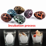 New 5/10pcs Hatching Growing Dinosaur Add Magic Water Grow Egg Animal Breeding Process Educational Teach Funny Toys for Kid
