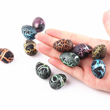 New 5/10pcs Hatching Growing Dinosaur Add Magic Water Grow Egg Animal Breeding Process Educational Teach Funny Toys for Kid