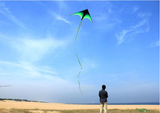 160cm High Quality Primary Stunt Kite Kit with Wheel Line Large Delta Kite Tail Outdoor Toy Kites for Kids Adult Sport Toy Gifts
