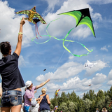160cm High Quality Primary Stunt Kite Kit with Wheel Line Large Delta Kite Tail Outdoor Toy Kites for Kids Adult Sport Toy Gifts